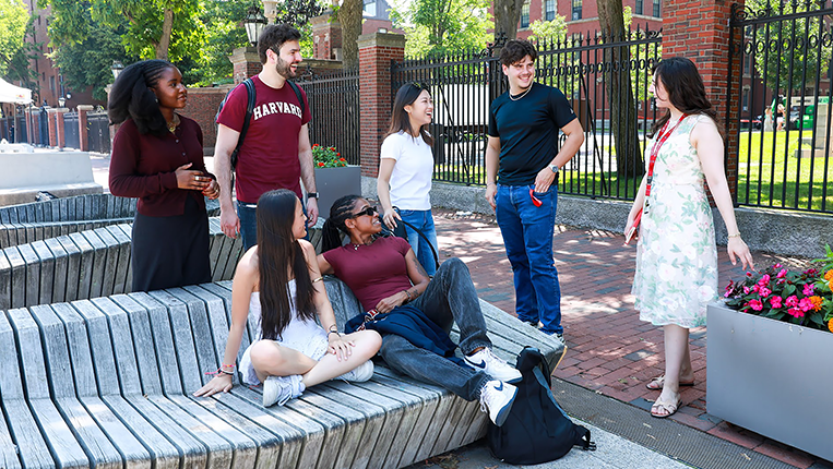Universidade Católica Portuguesa assina acordo com a Harvard Summer School Global Partner Program