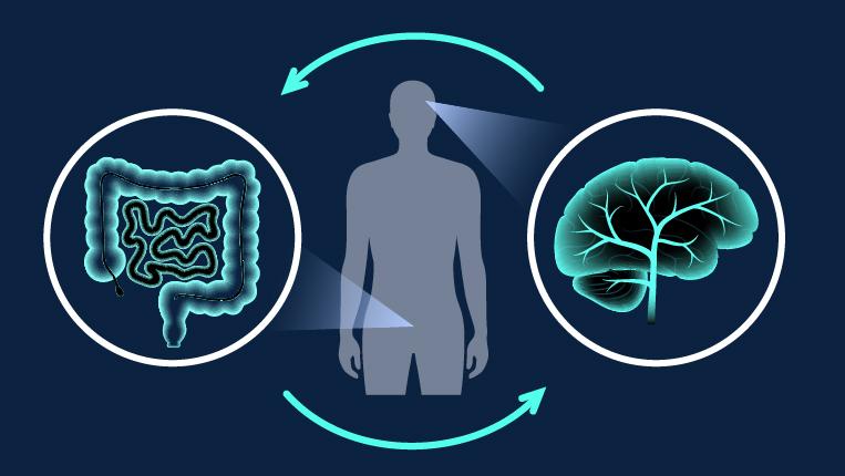 Dia Internacional do Microrganismo: Sabia que os microrganismos podem ter impacto a nível cerebral?